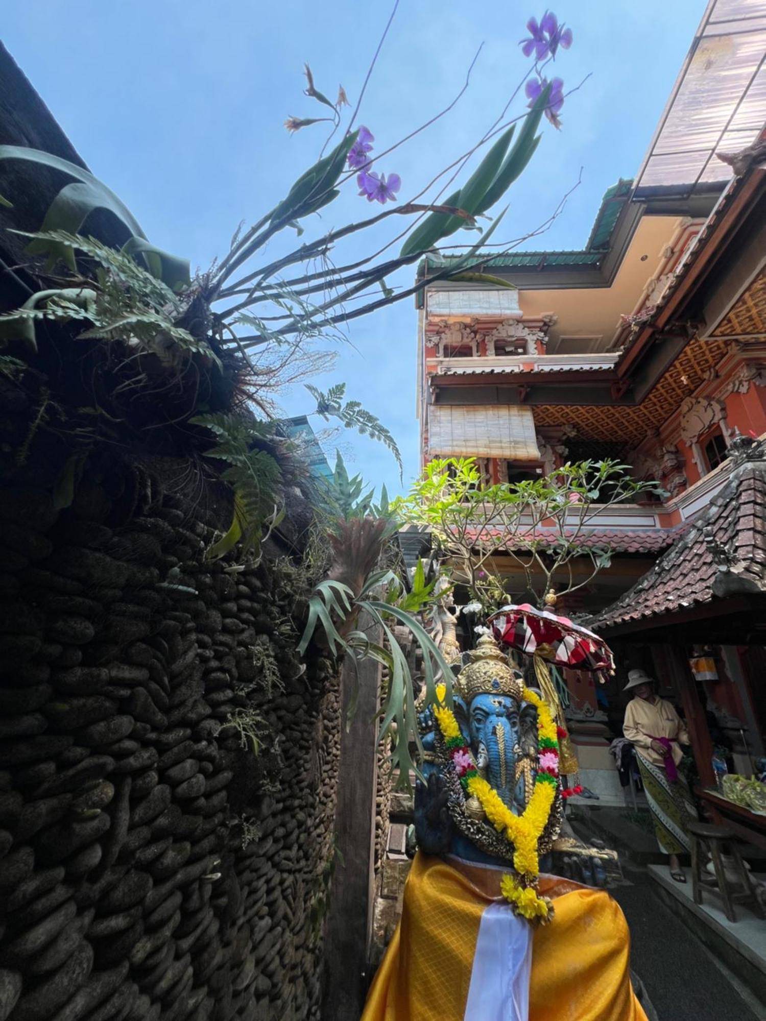Banana Home Stay Ubud Exteriör bild